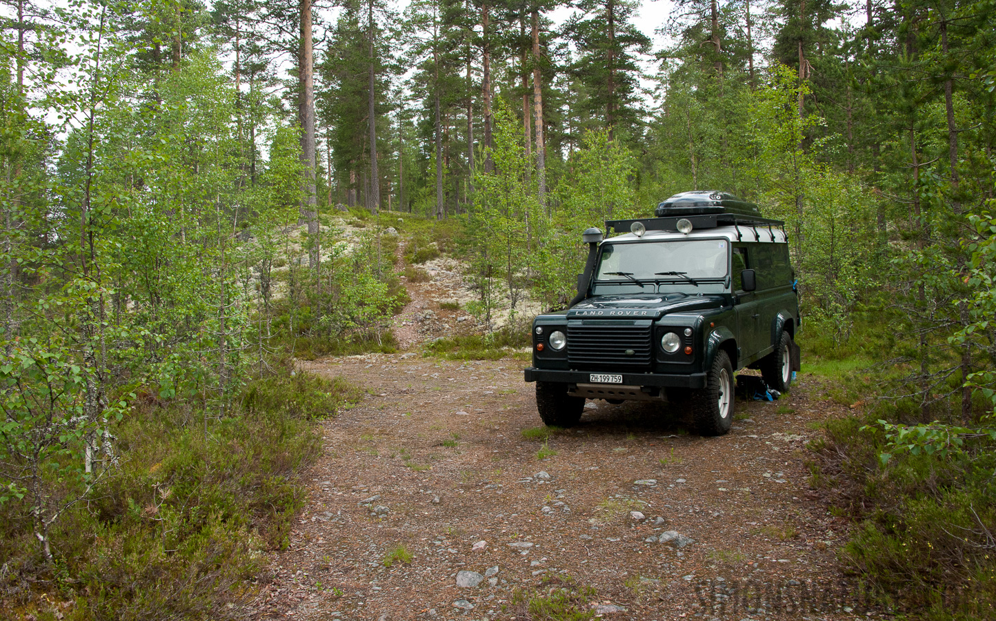 Wildnis-Route [28 mm, 1/200 Sek. bei f / 13, ISO 1600]